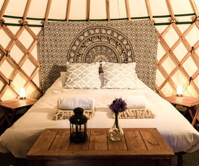 Red Rooster festival accommodation in yurts or tents